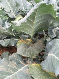 9D30F249-58E4-4EFA-B915-0E9B30CD44FD