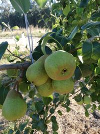 WhatsApp Image 2020-06-23 at 10.32.31 (1)