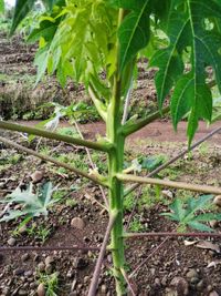 WhatsApp Image 2020-11-29 at 14.16.16 (1)