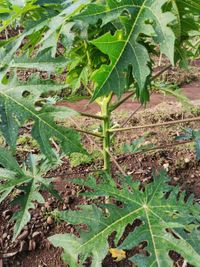 WhatsApp Image 2020-11-29 at 14.16.16 (2)