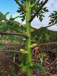 WhatsApp Image 2020-11-29 at 14.16.16 (3)