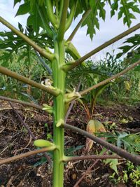 WhatsApp Image 2020-11-29 at 14.16.16