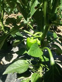 101836421_169005991315056_3994696578199849781_n