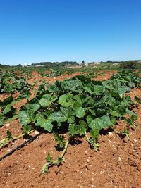 106122240_176102900605365_3464194228867246633_n