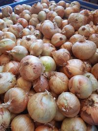 106136599_173581374190851_2391982667533467829_n