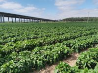 106925943_178587347023587_4146194245414199181_n