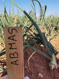 108460522_180396046842717_189286955129896750_o