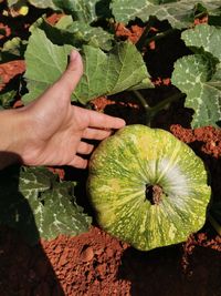 109420866_180687746813547_2635961980628866603_o