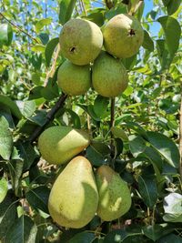 109834831_181884676693854_3338658386147034784_o