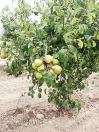 113338429_183474453201543_7181605781930156631_o