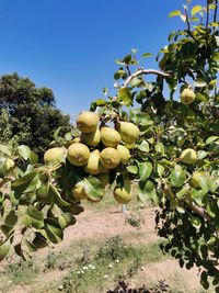 114585639_181884726693849_2940607632834453110_o