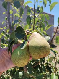 115467141_183474379868217_2954720292051749420_o