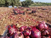 116499280_184920326390289_702790120459337579_o