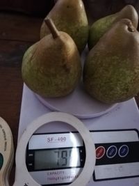 117273177_187525516129770_1243806893434021513_o