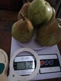 117310125_187525539463101_7933939280826041258_o